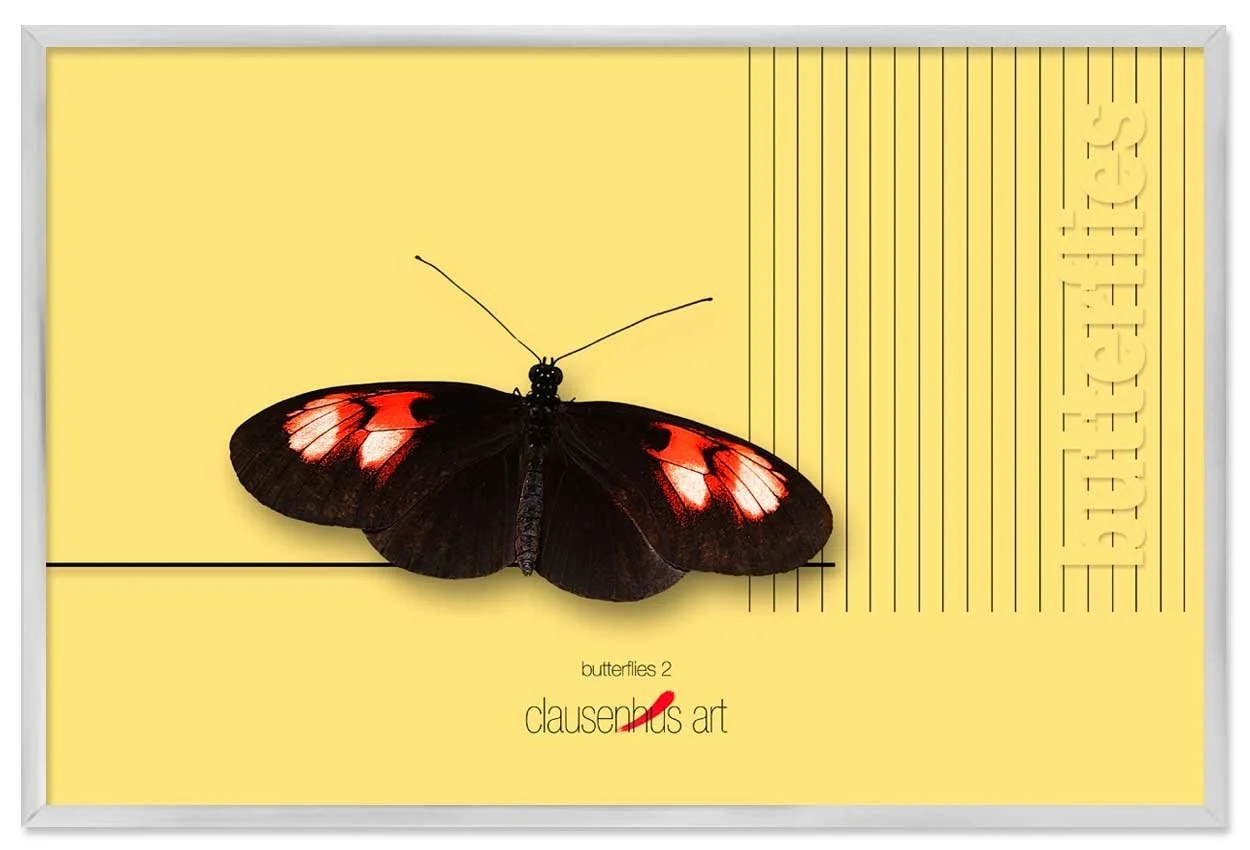 butterflies-2-copy.jpg