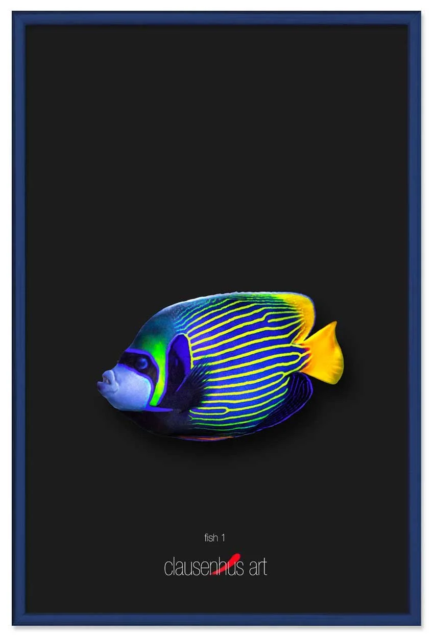 fish-1-copy.jpg