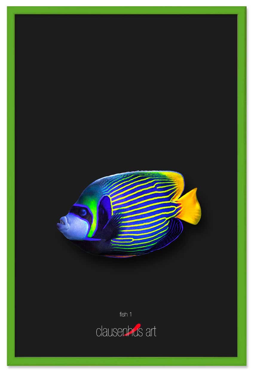 fish-1-copy.jpg