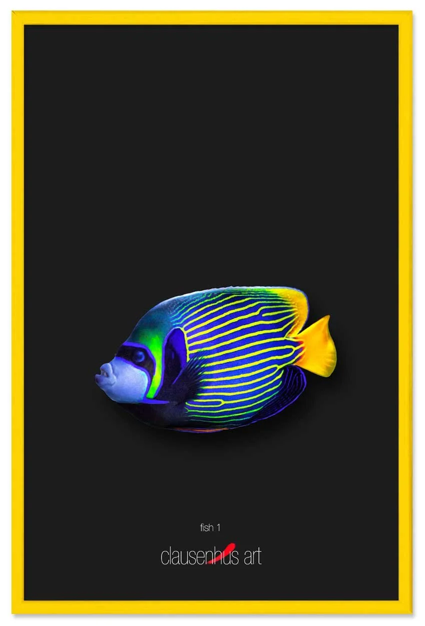 fish-1-copy.jpg