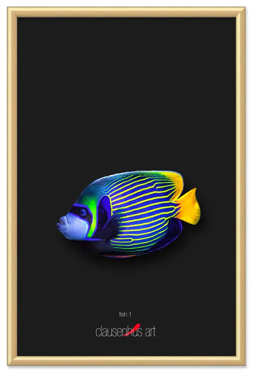 fish-1-copy.jpg