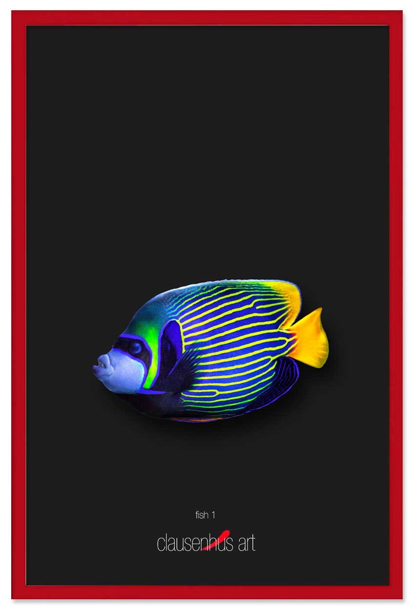 fish-1-copy.jpg
