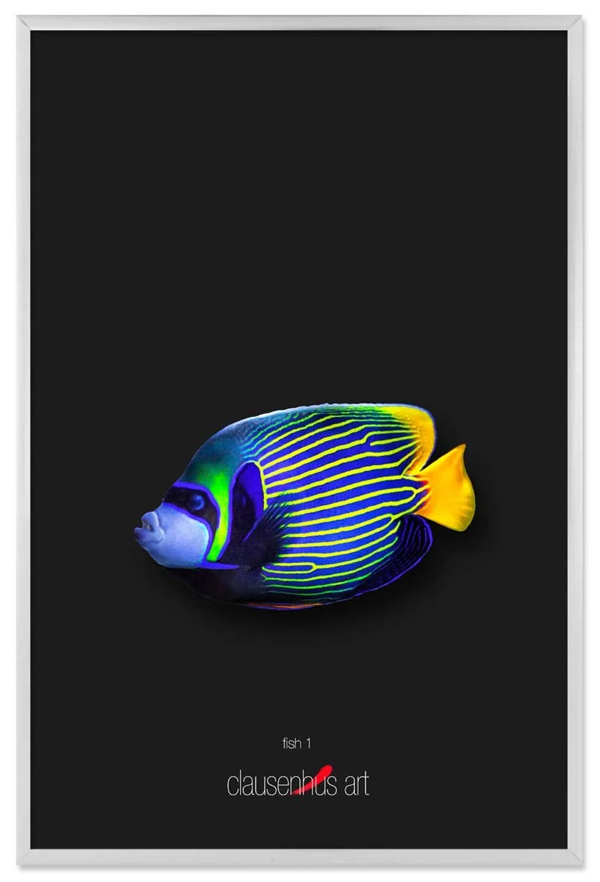 fish-1-copy.jpg