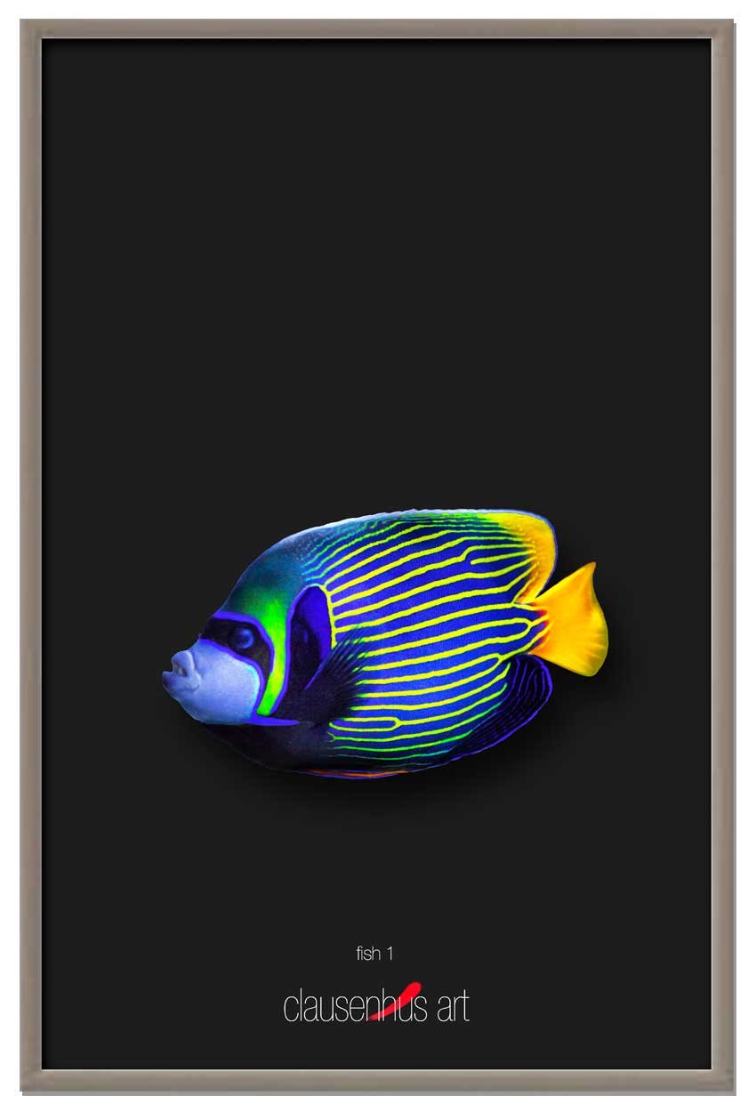 fish-1-copy.jpg