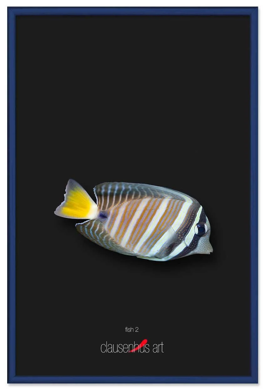 fish-2-copy.jpg