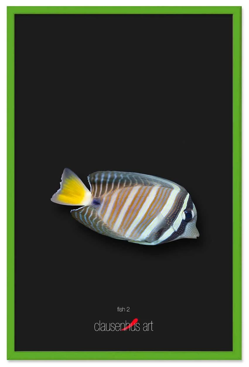 fish-2-copy.jpg