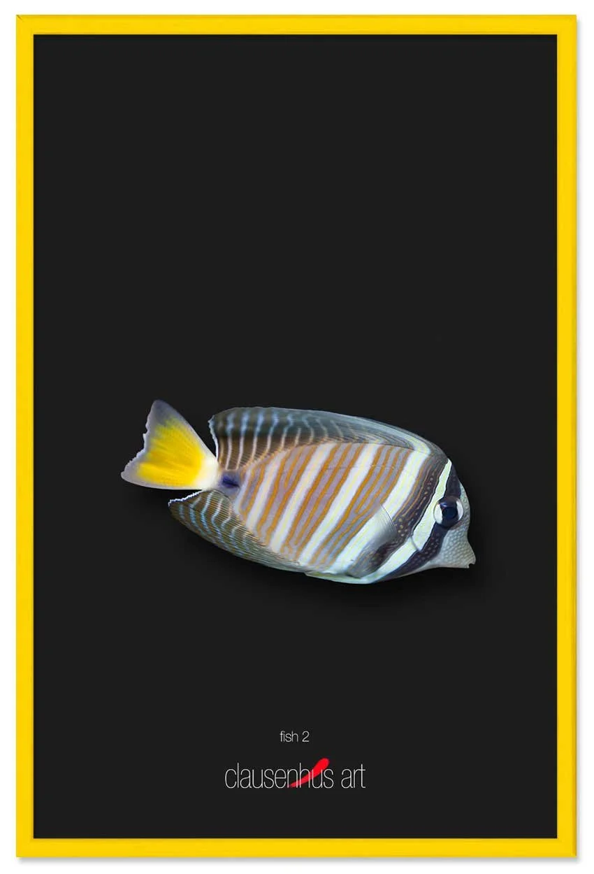 fish-2-copy.jpg