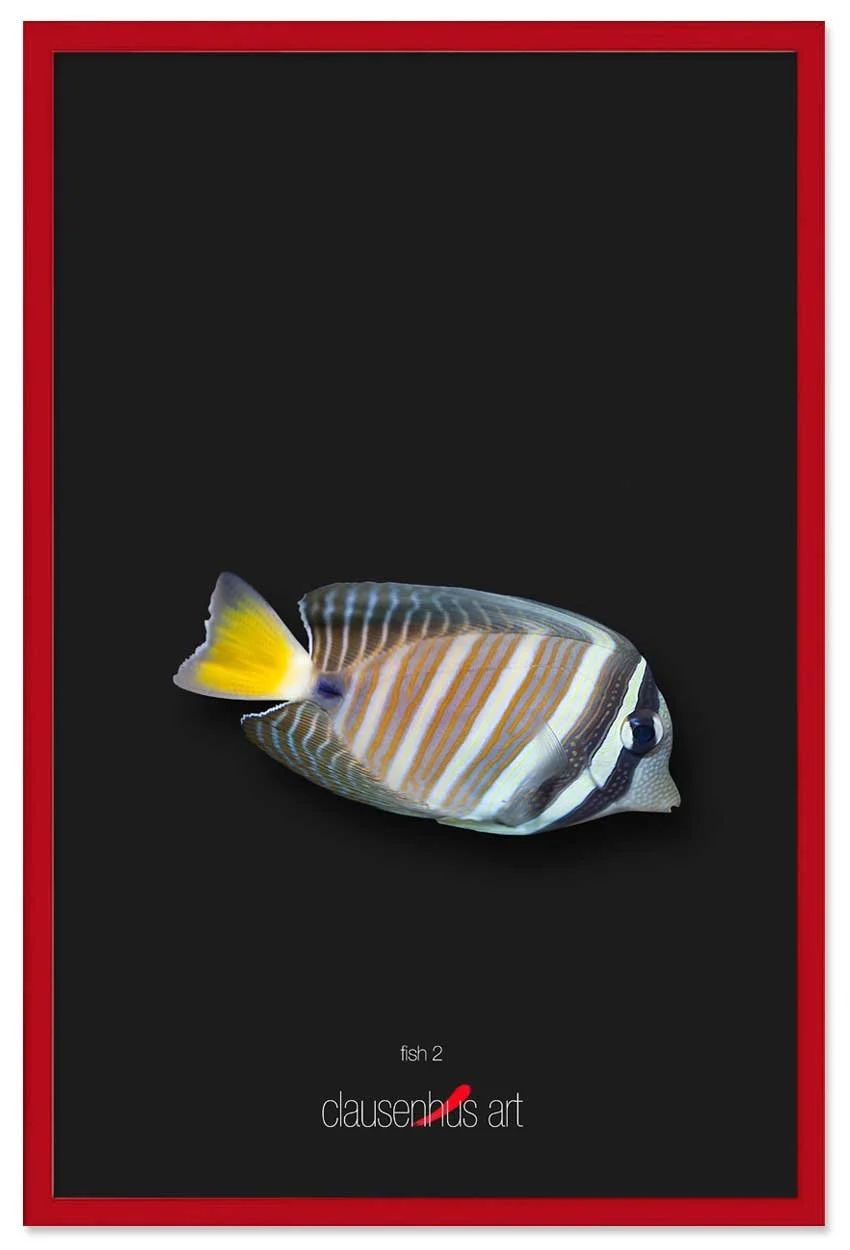 fish-2-copy.jpg