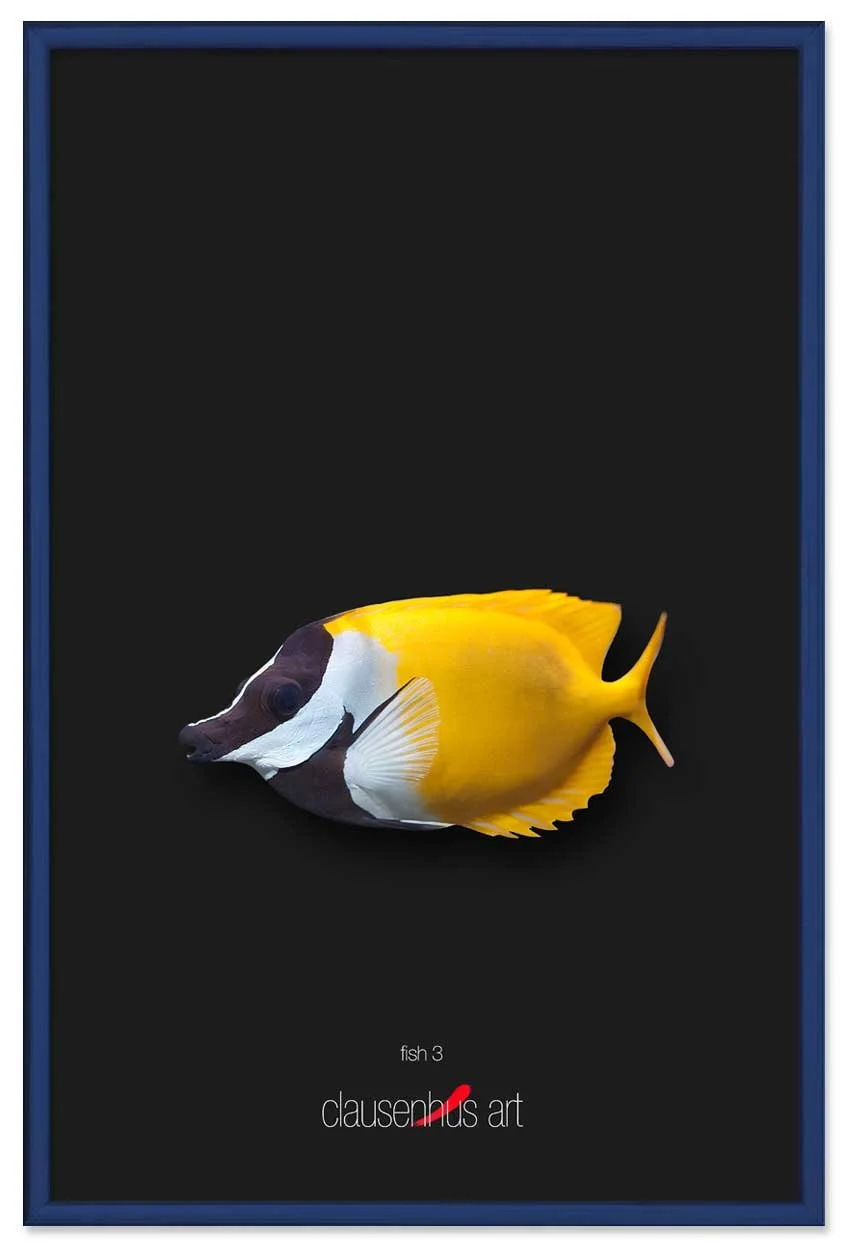 fish-3-copy.jpg