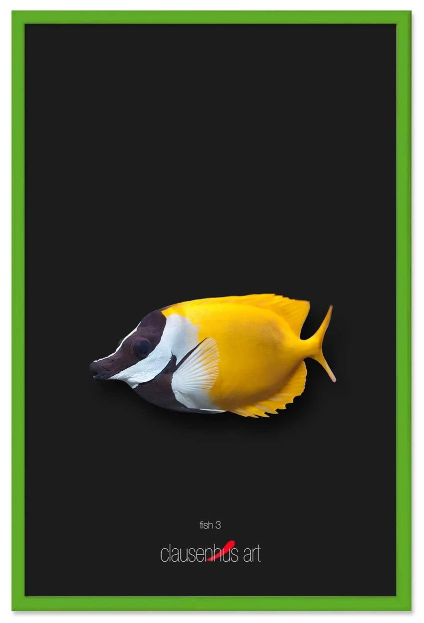 fish-3-copy.jpg