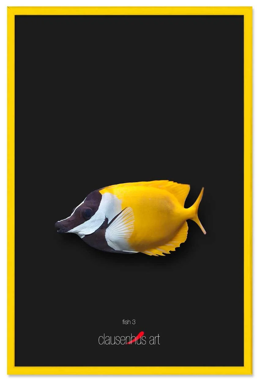 fish-3-copy.jpg
