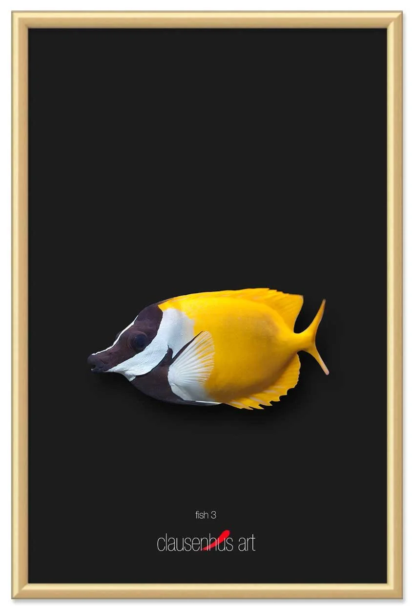 fish-3-copy.jpg