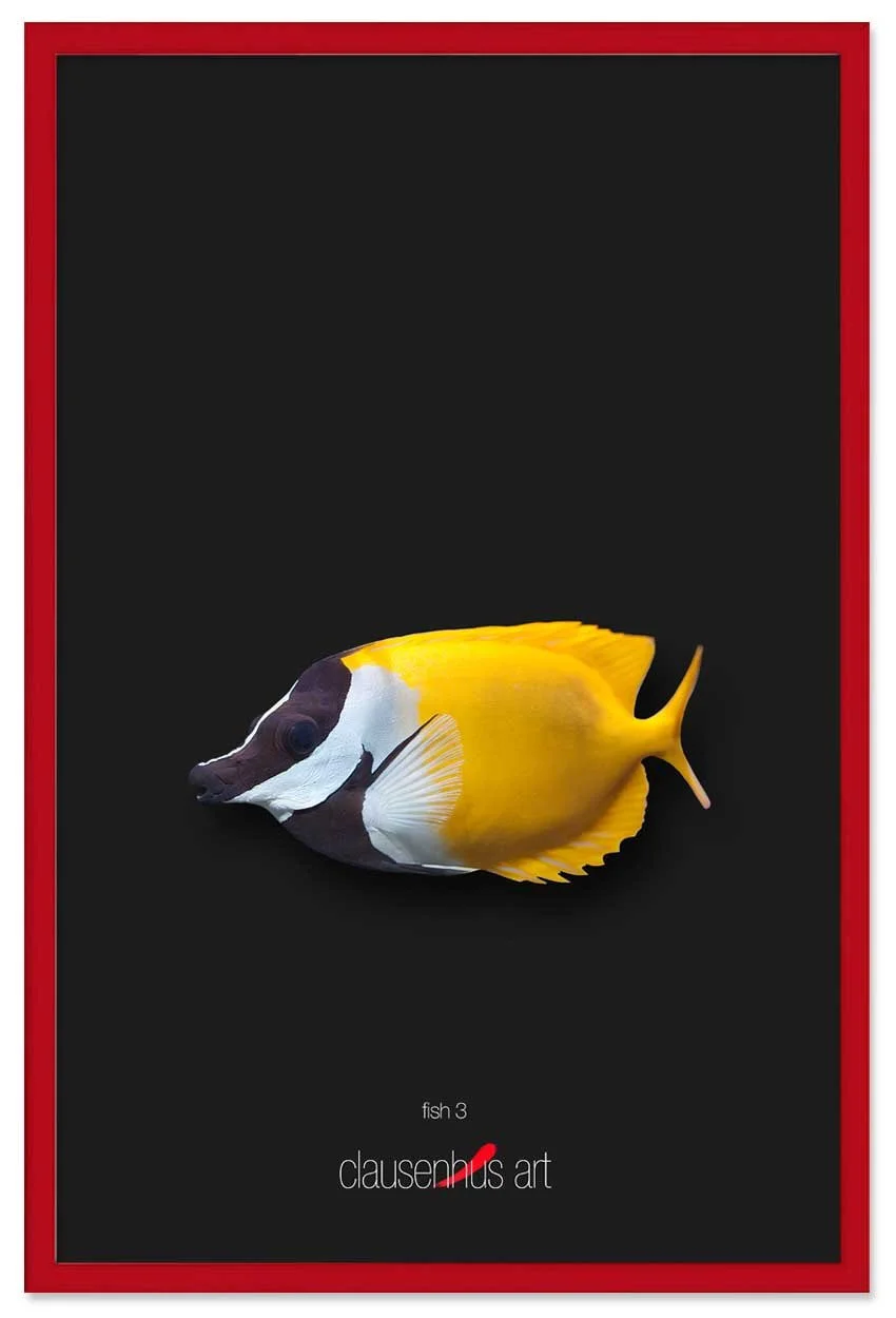 fish-3-copy.jpg
