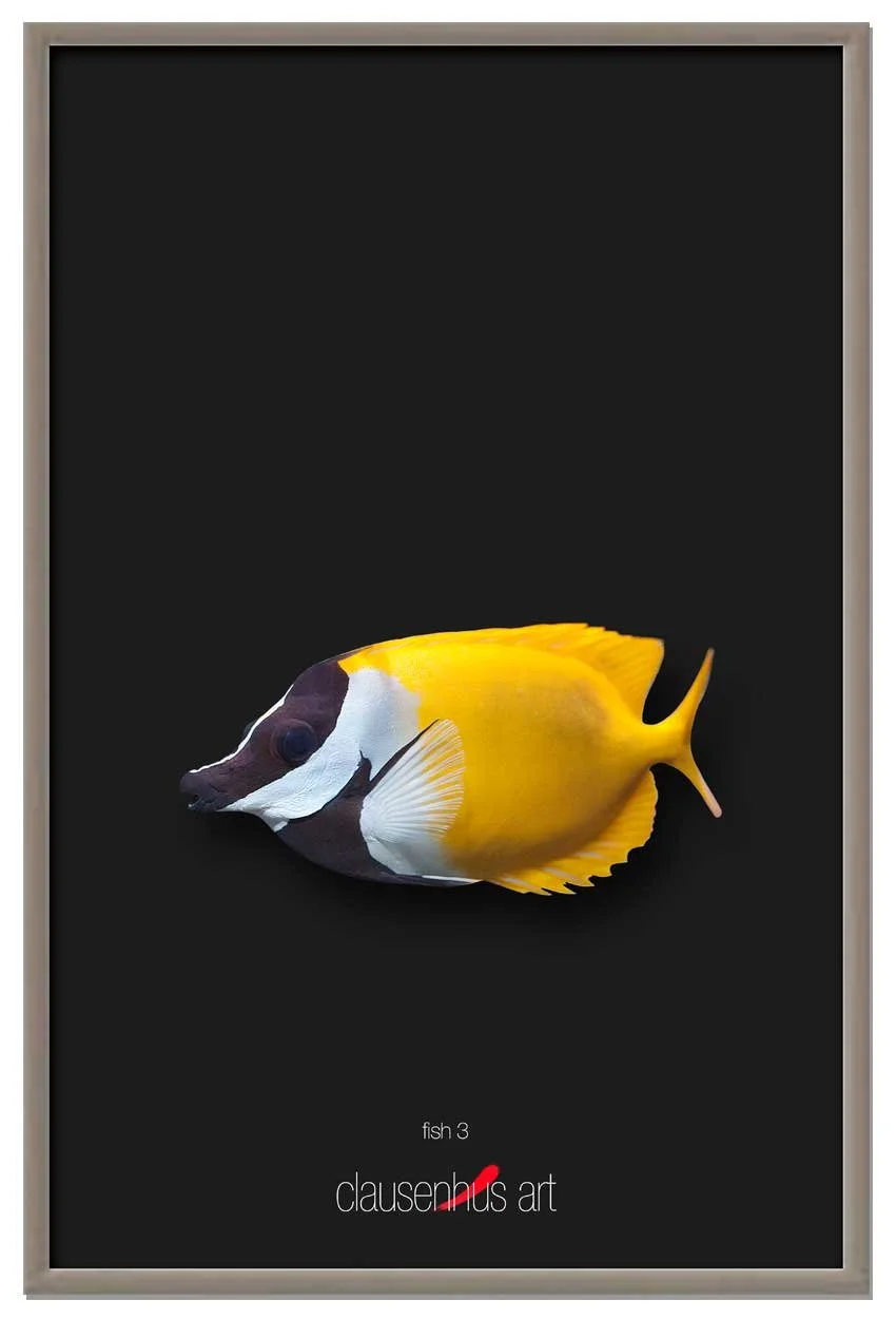 fish-3-copy.jpg