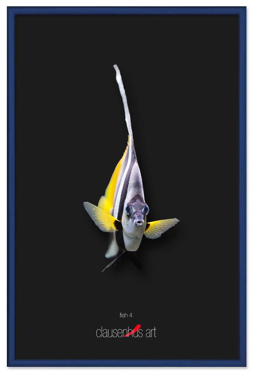 fish-4-copy.jpg