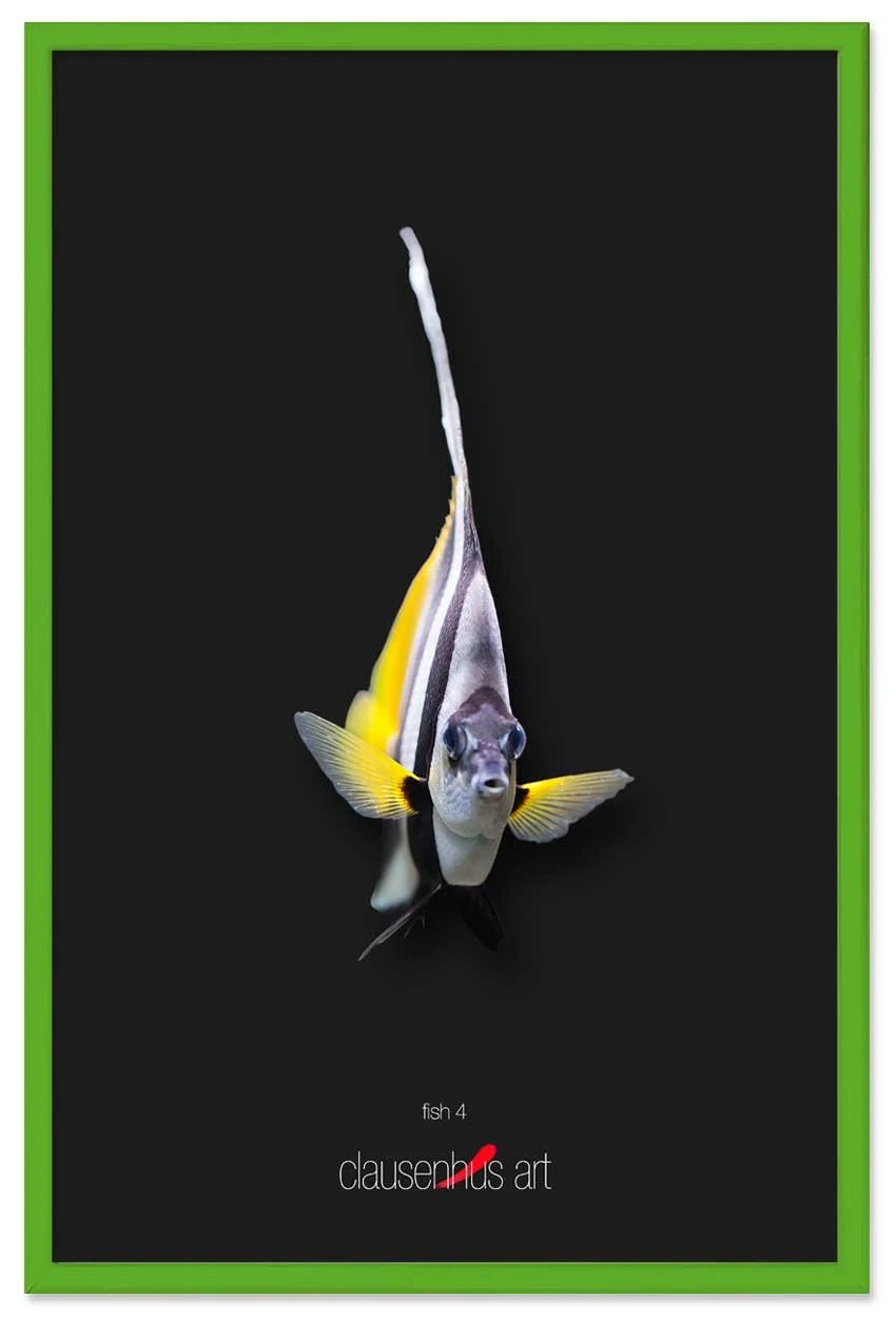 fish-4-copy.jpg