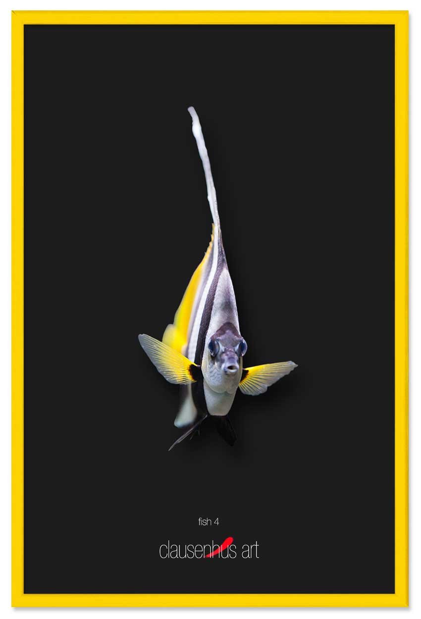 fish-4-copy.jpg