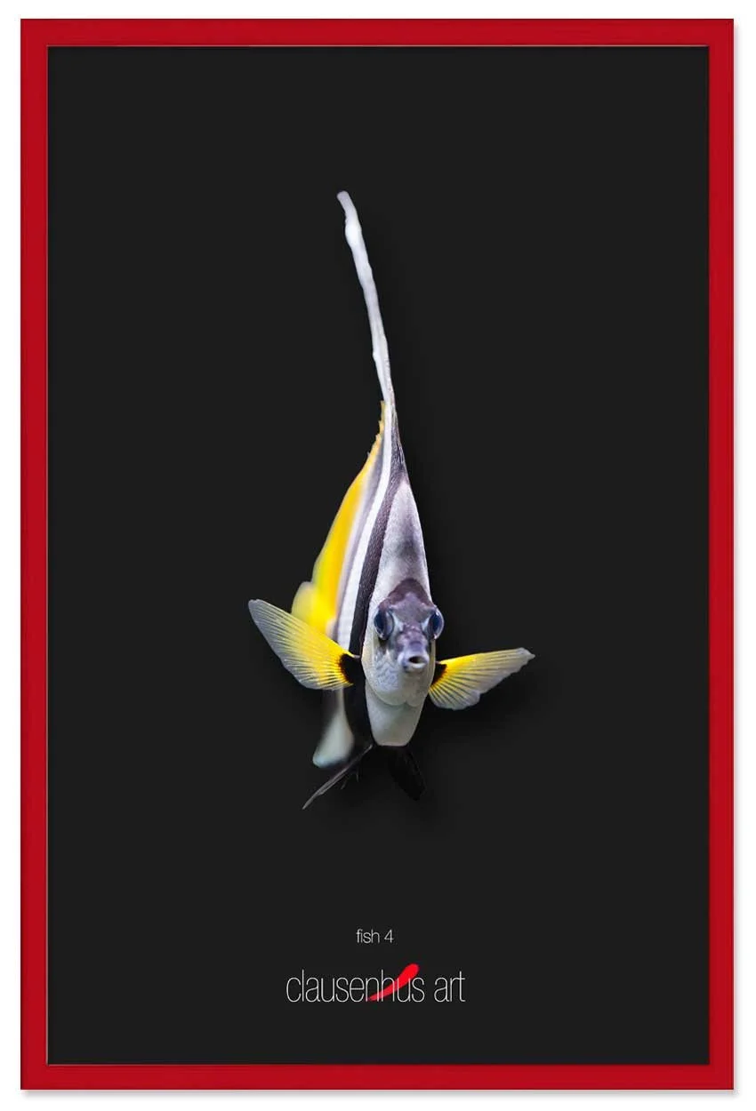 fish-4-copy.jpg
