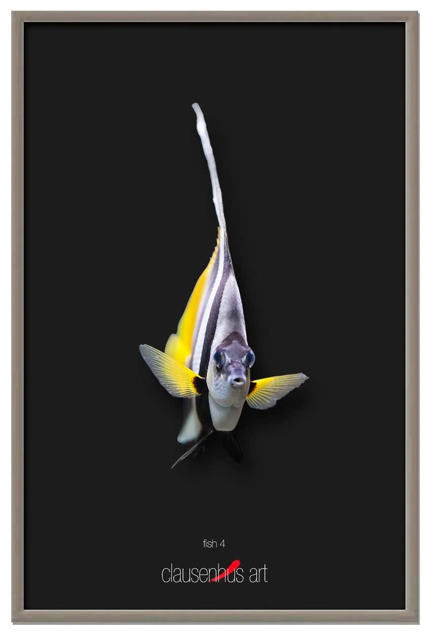 fish-4-copy.jpg