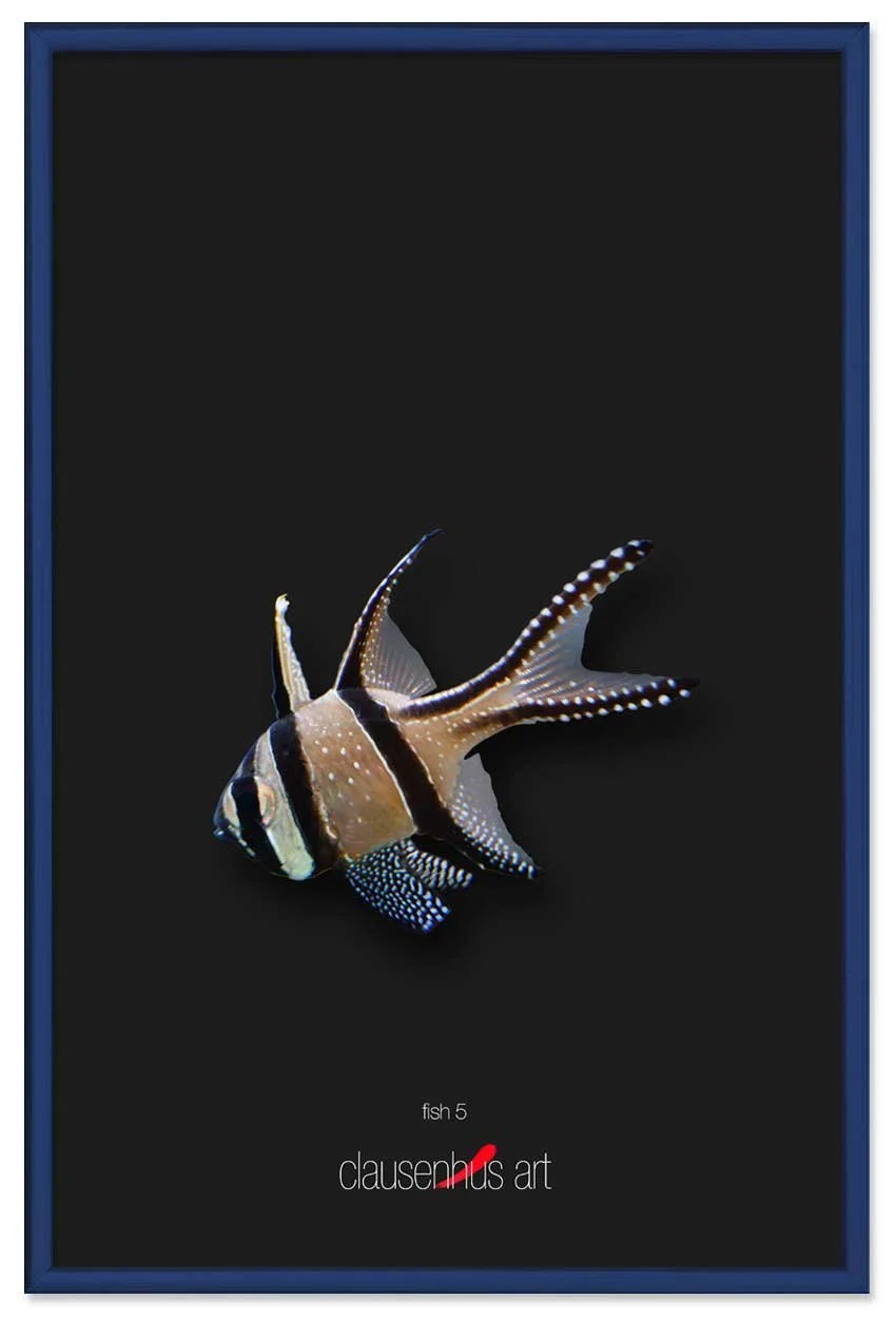 fish-5-copy.jpg