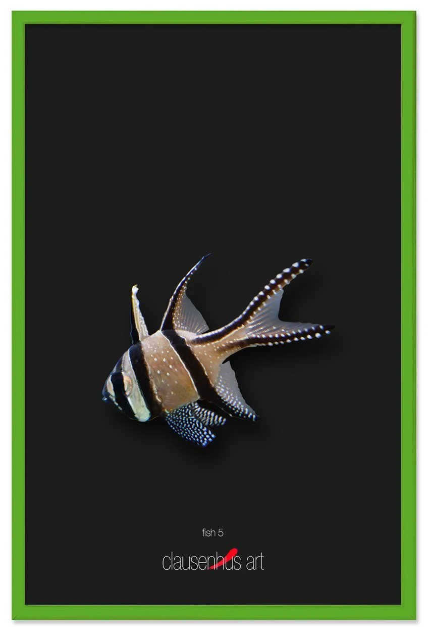 fish-5-copy.jpg
