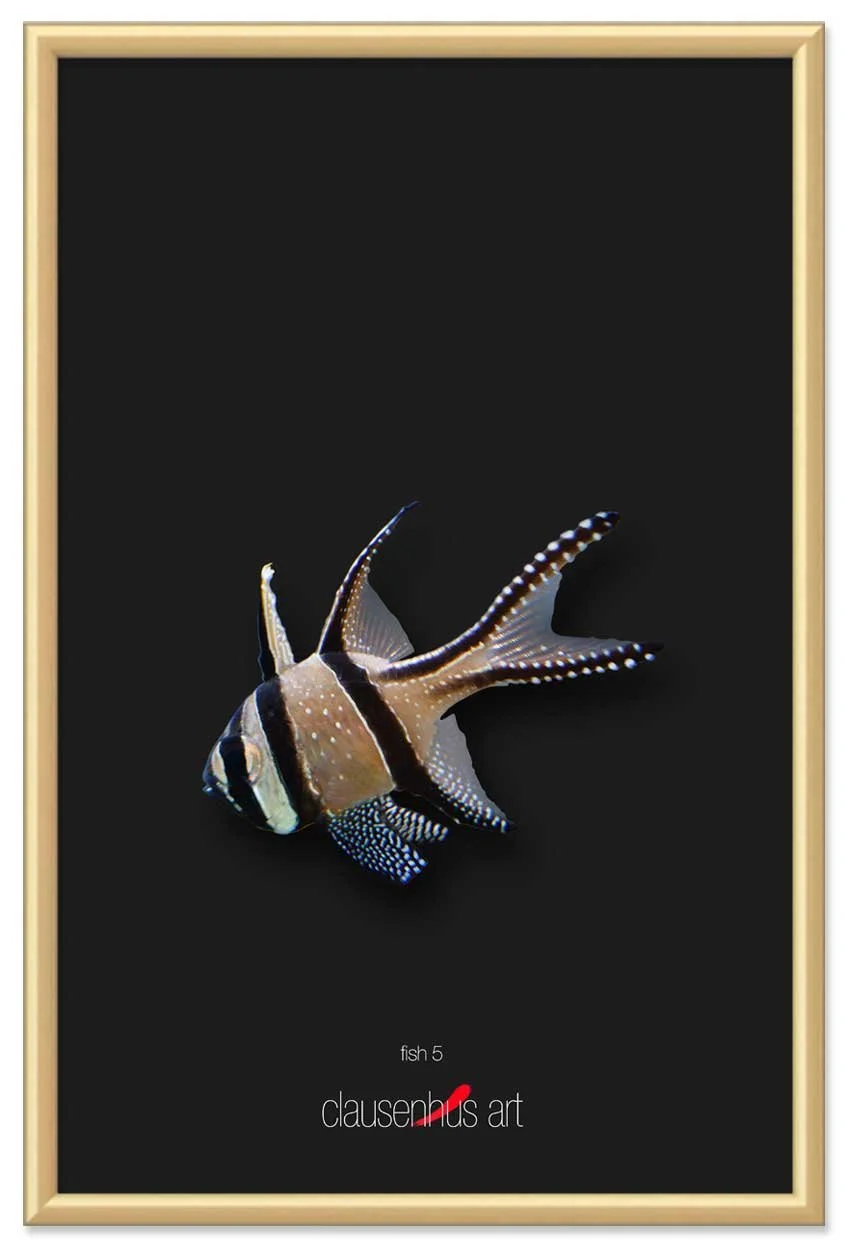 fish-5-copy.jpg