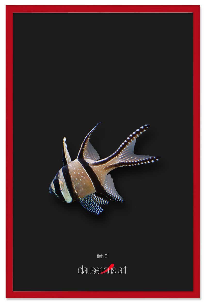 fish-5-copy.jpg