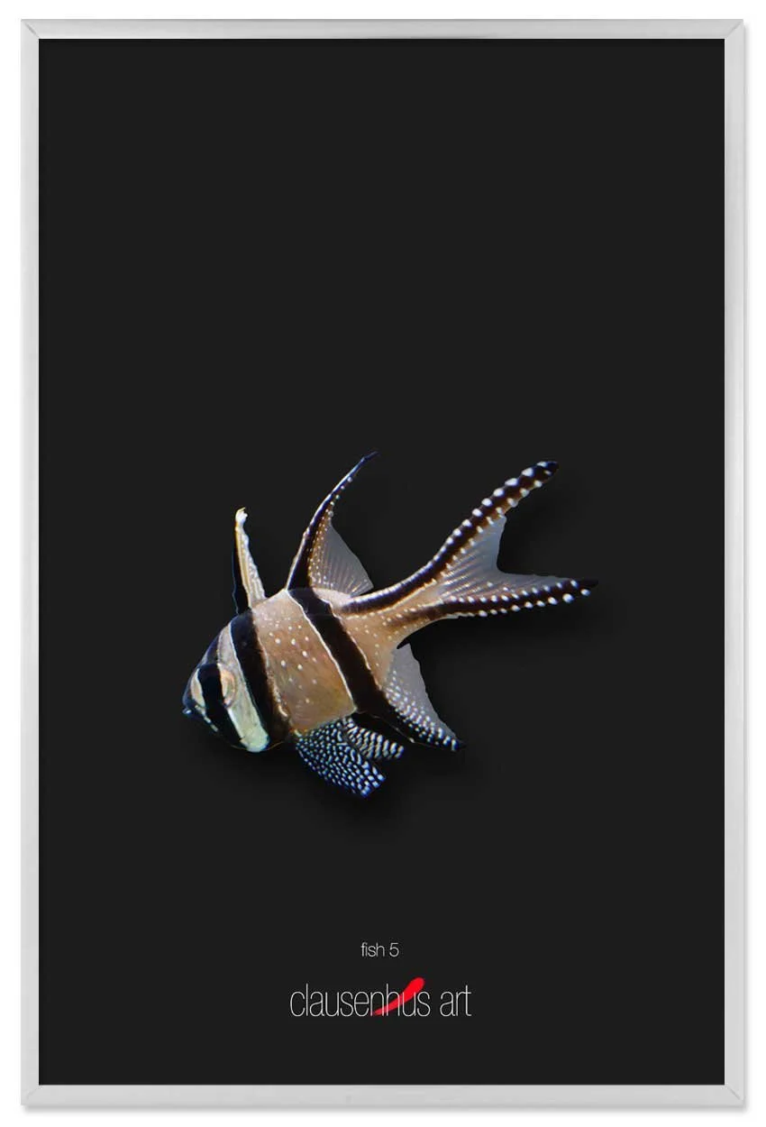 fish-5-copy.jpg