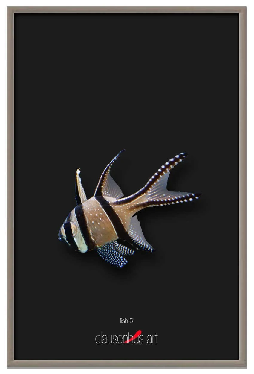 fish-5-copy.jpg