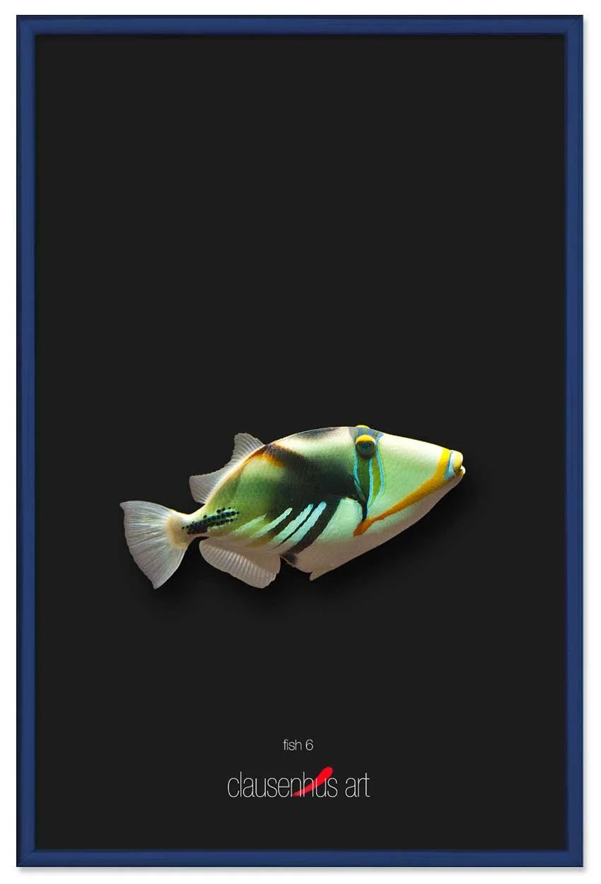 fish-6-copy.jpg