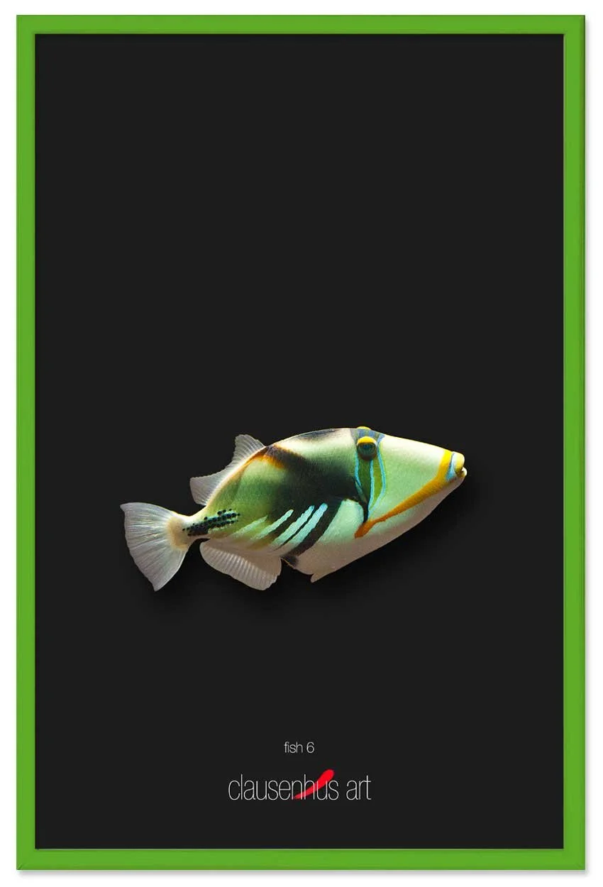 fish-6-copy.jpg