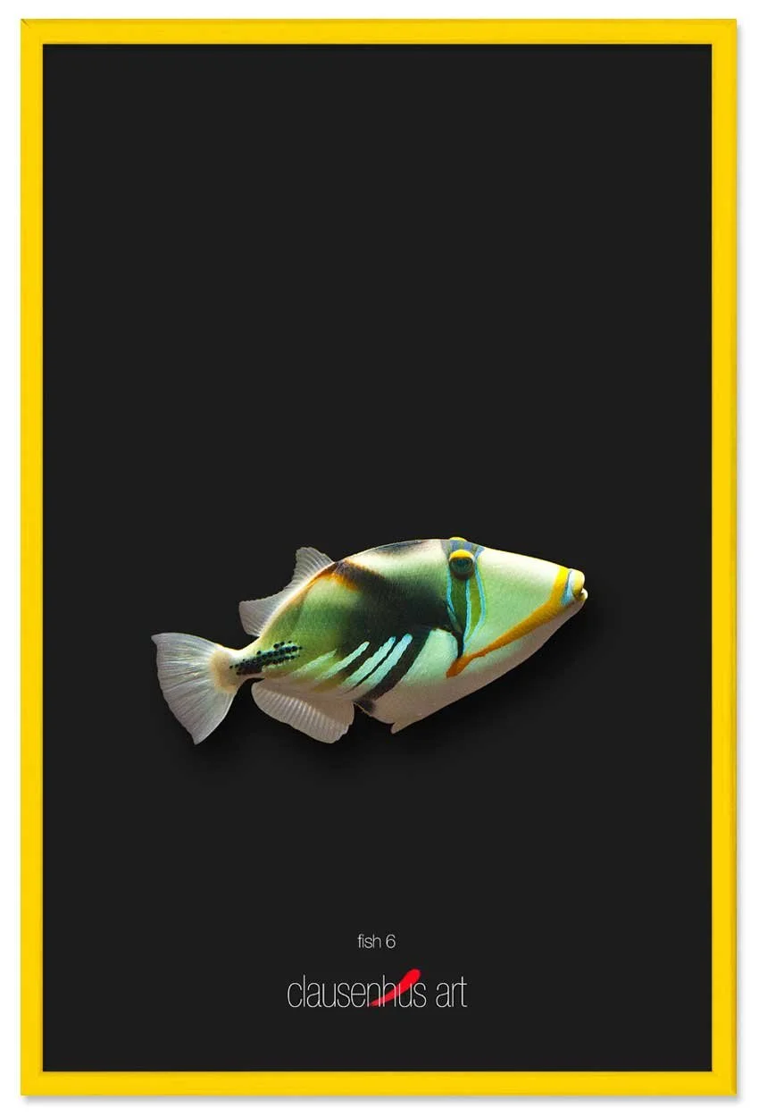 fish-6-copy.jpg