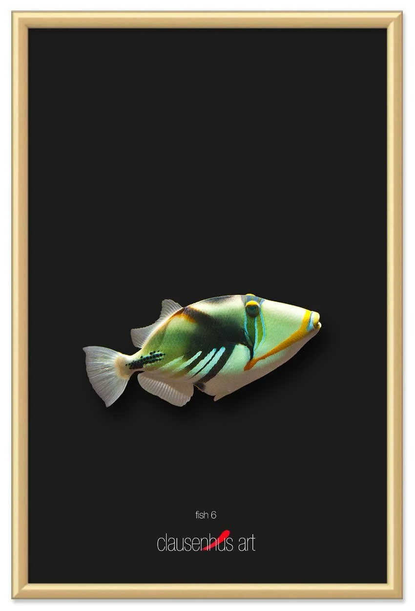 fish-6-copy.jpg
