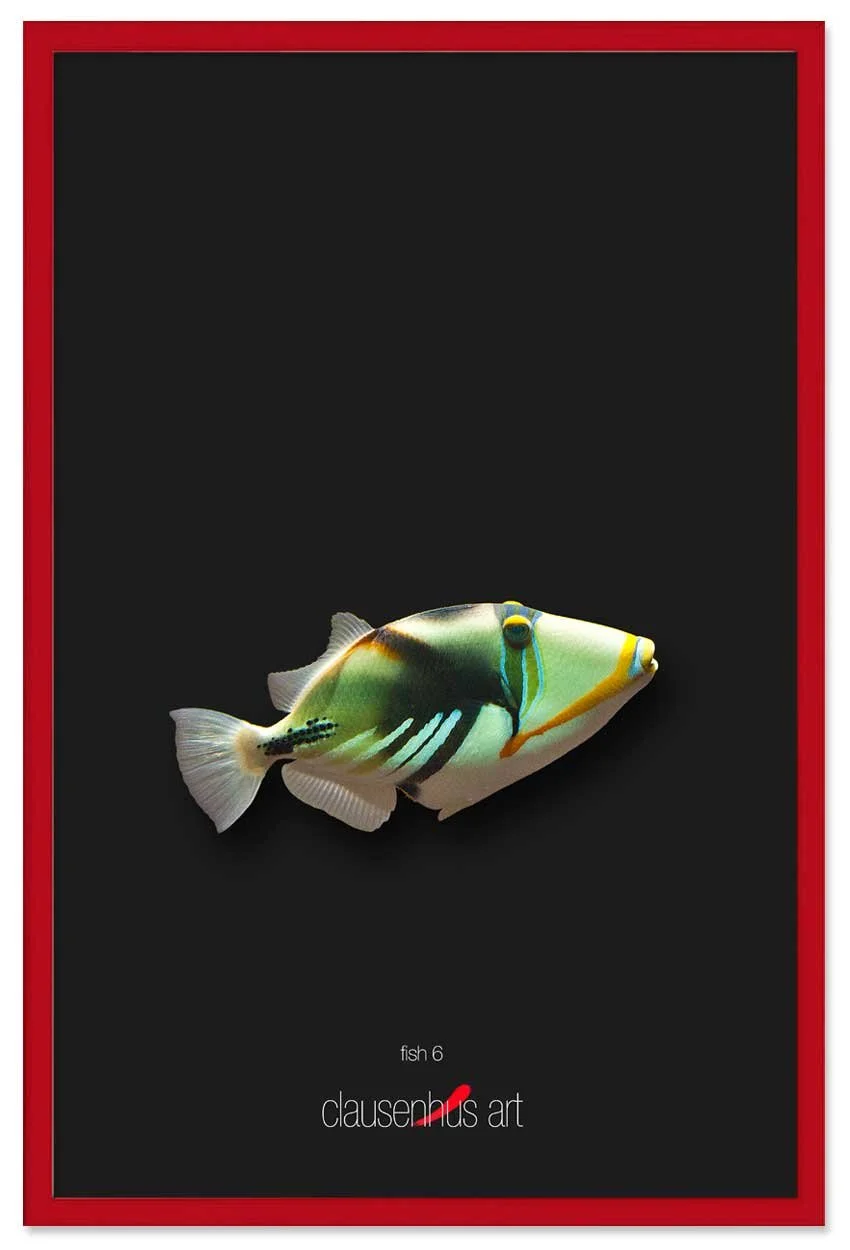 fish-6-copy.jpg