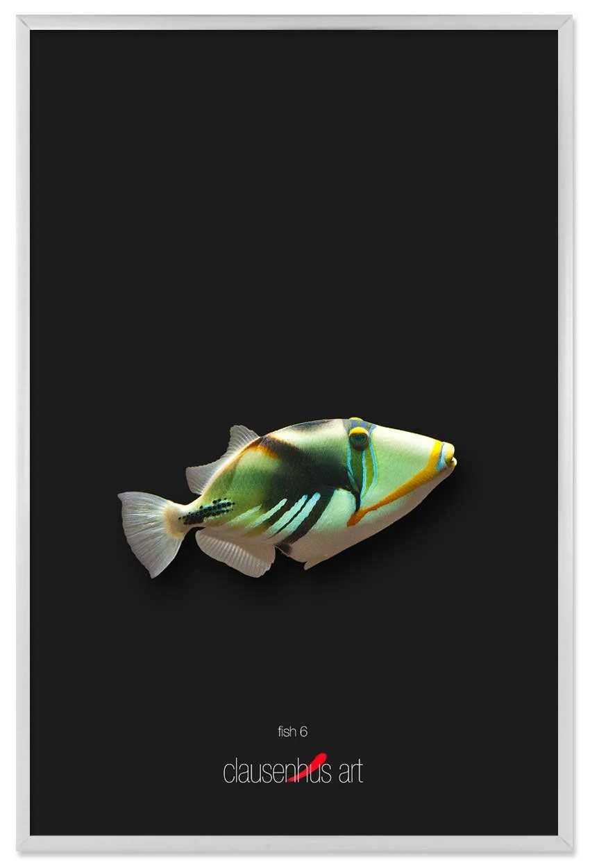 fish-6-copy.jpg