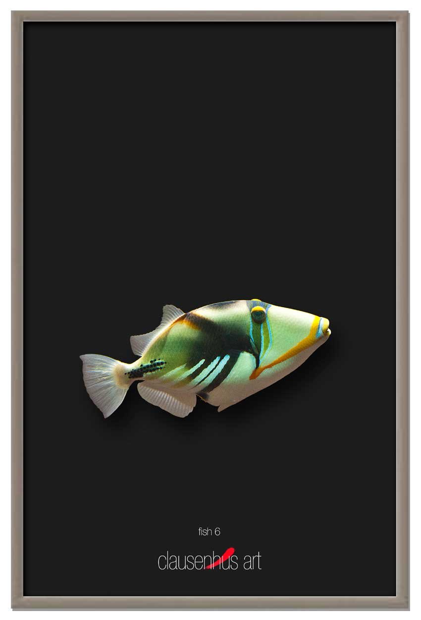 fish-6-copy.jpg