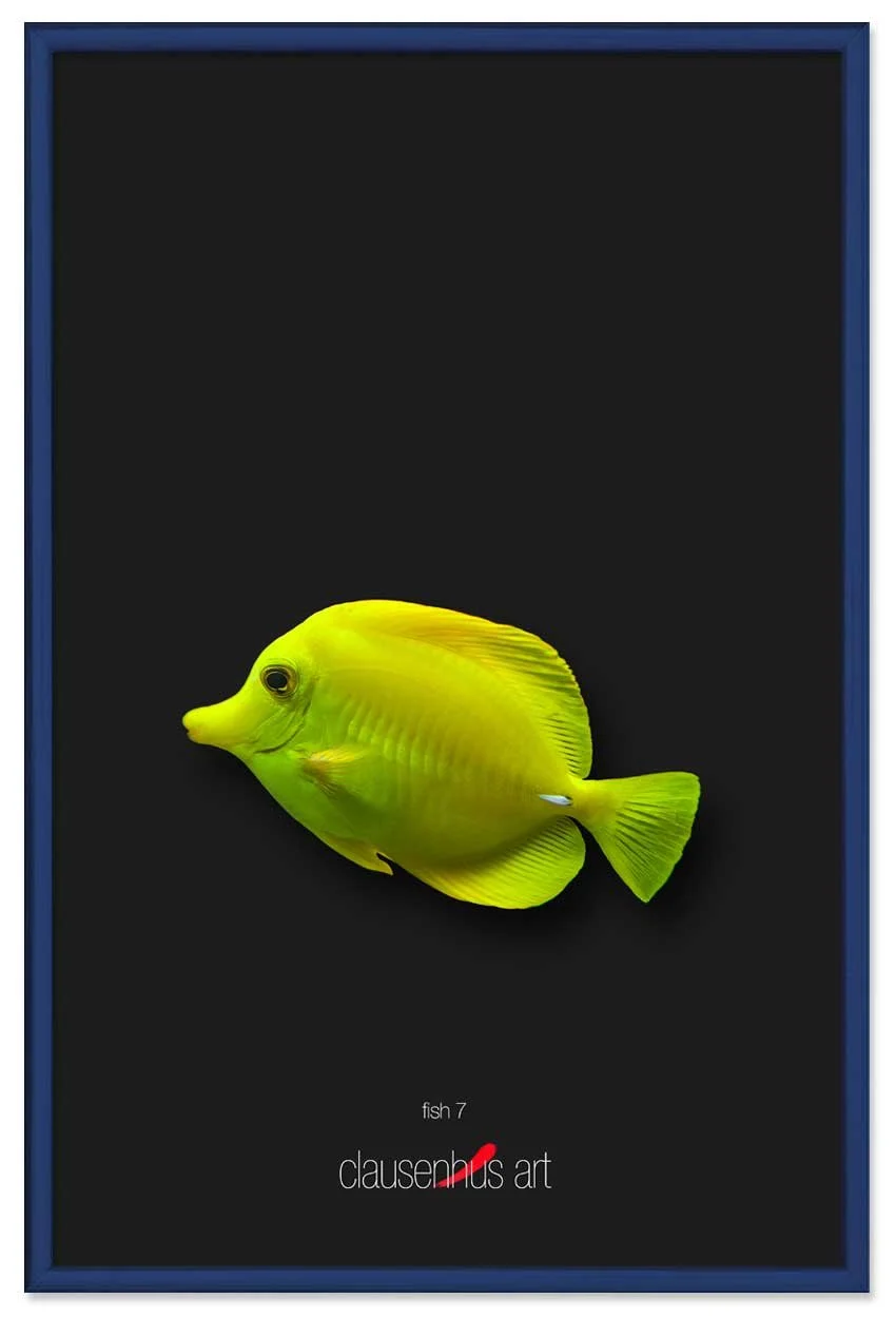 fish-7-copy.jpg