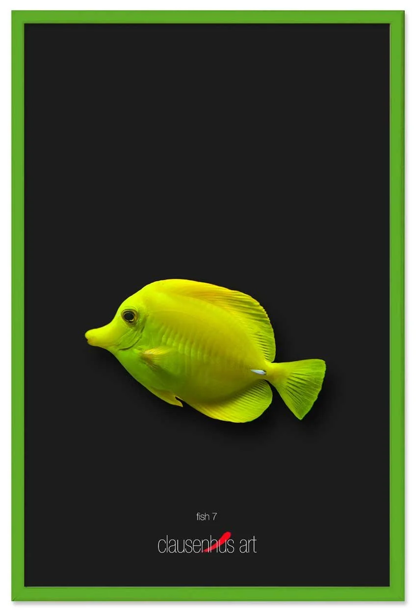 fish-7-copy.jpg