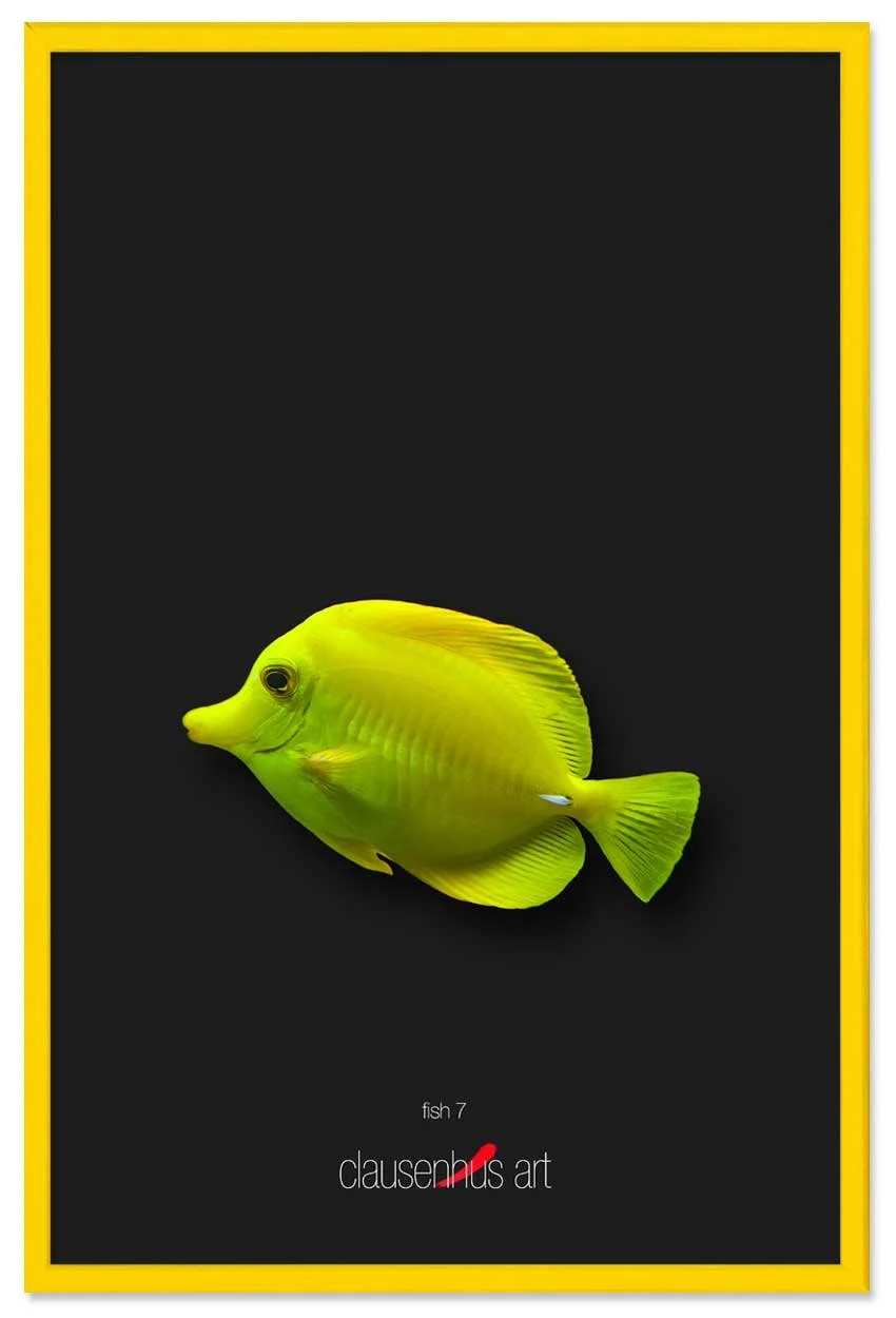 fish-7-copy.jpg
