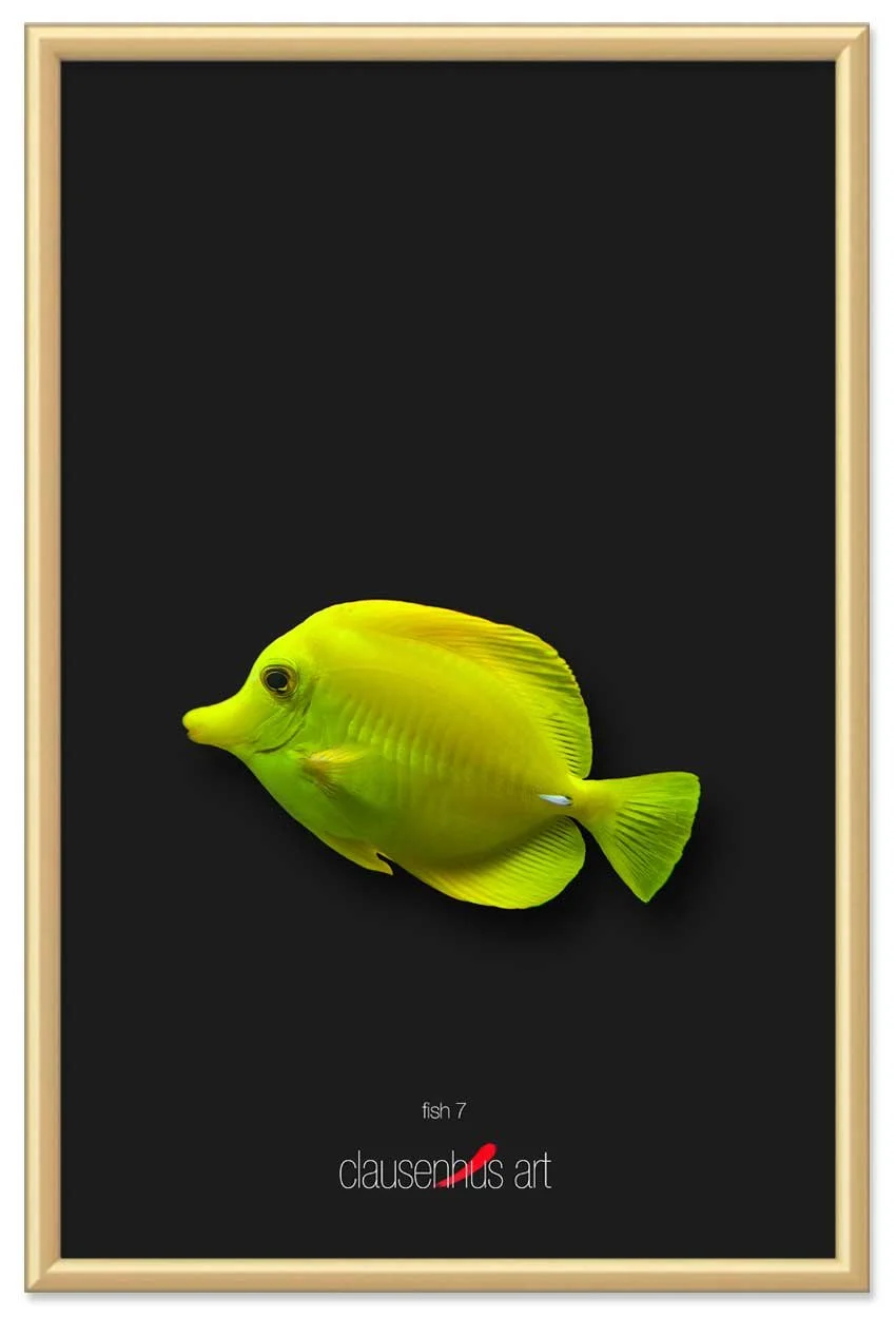 fish-7-copy.jpg