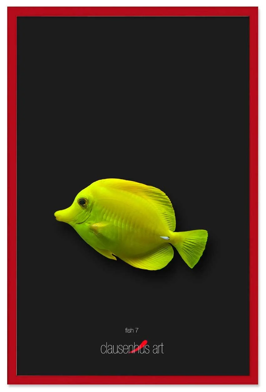 fish-7-copy.jpg