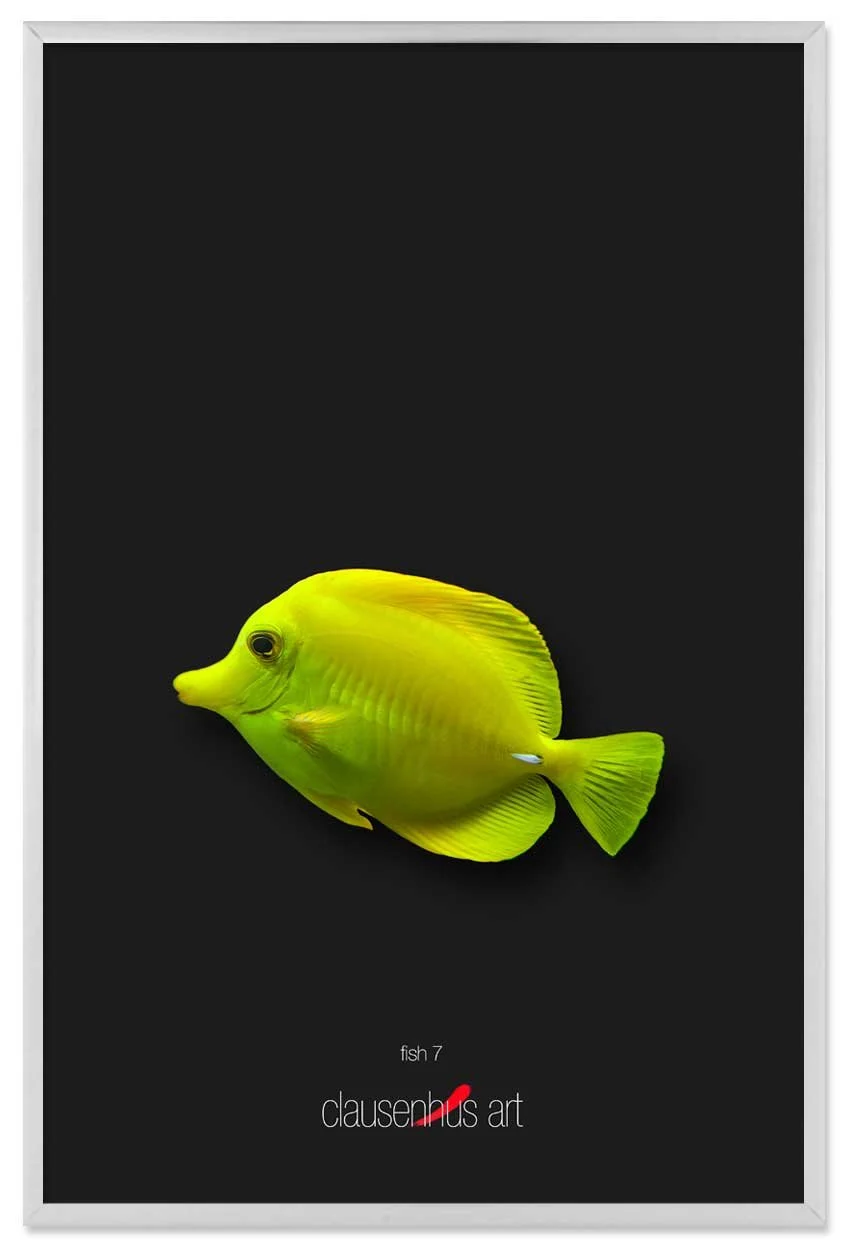 fish-7-copy.jpg