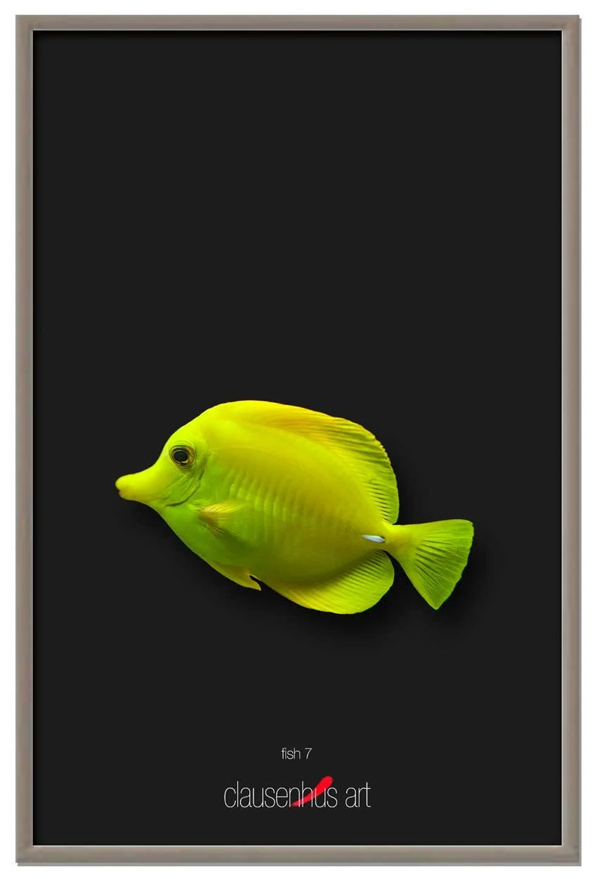 fish-7-copy.jpg
