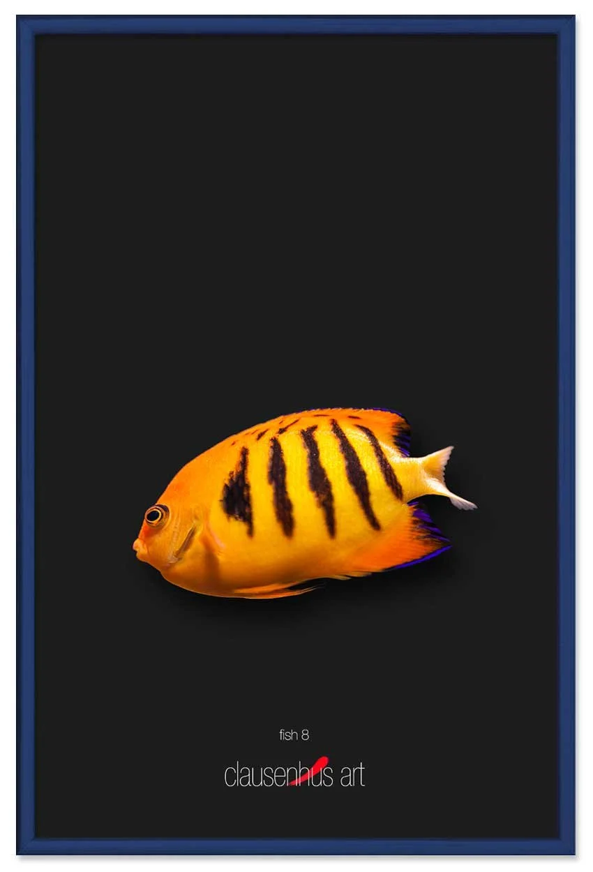 fish-8-copy.jpg
