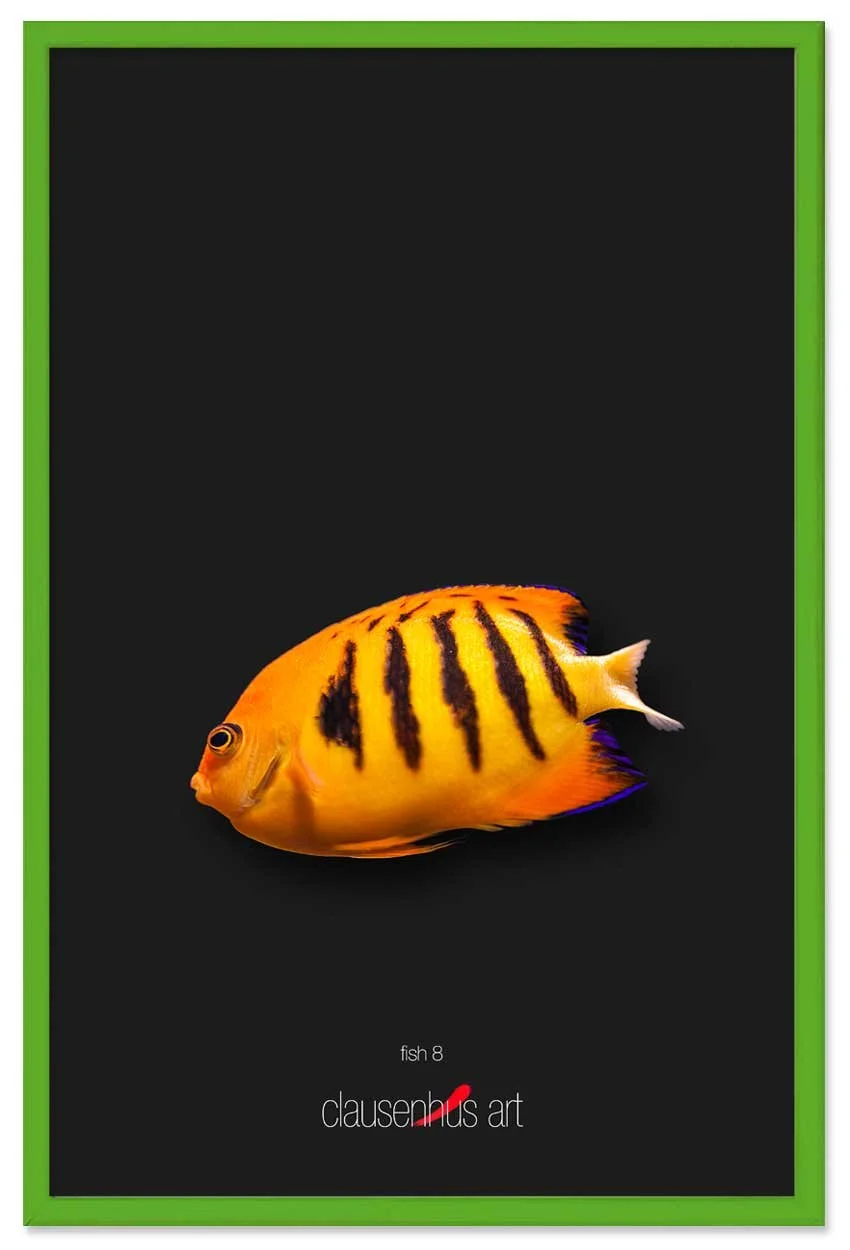 fish-8-copy.jpg