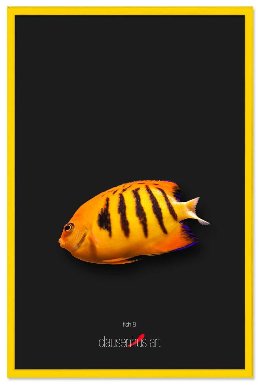 fish-8-copy.jpg