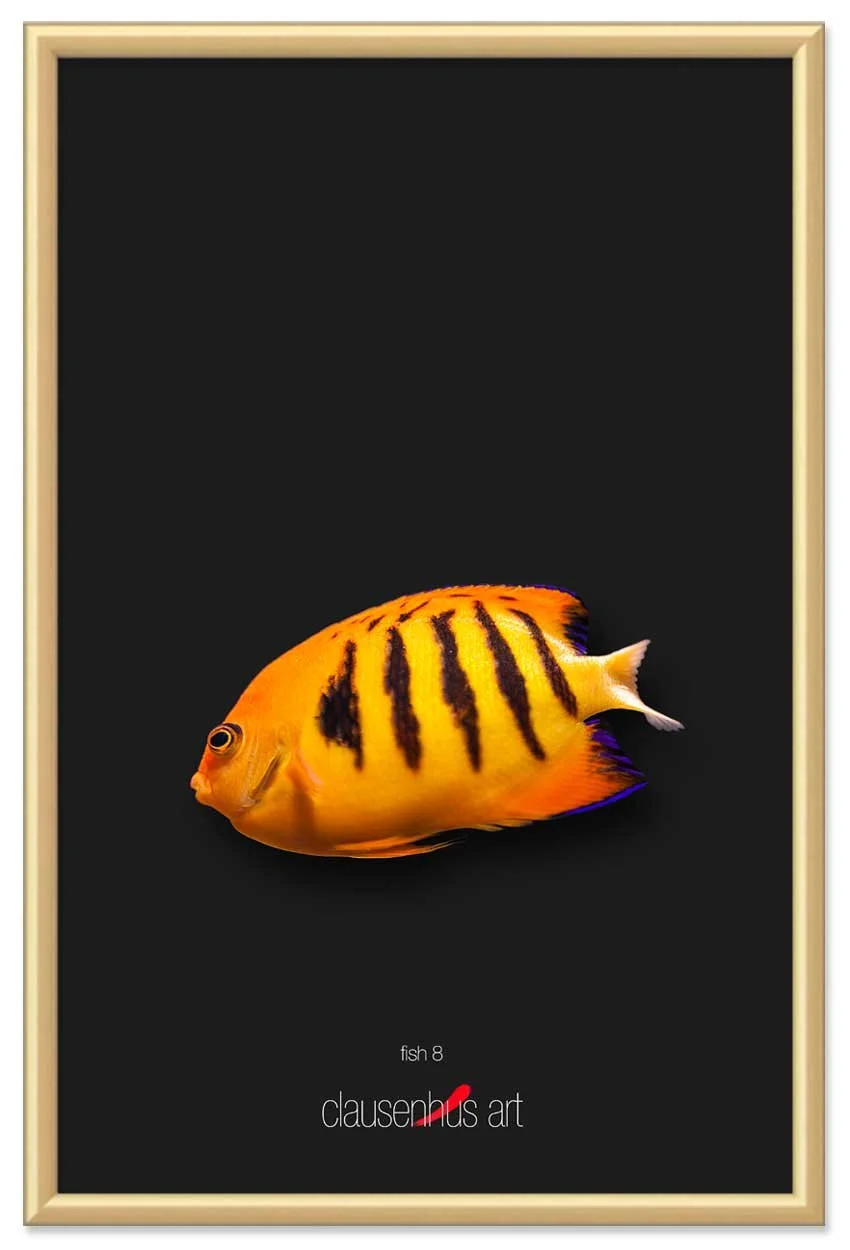 fish-8-copy.jpg