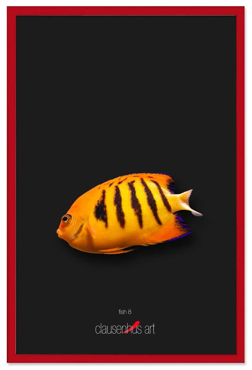 fish-8-copy.jpg
