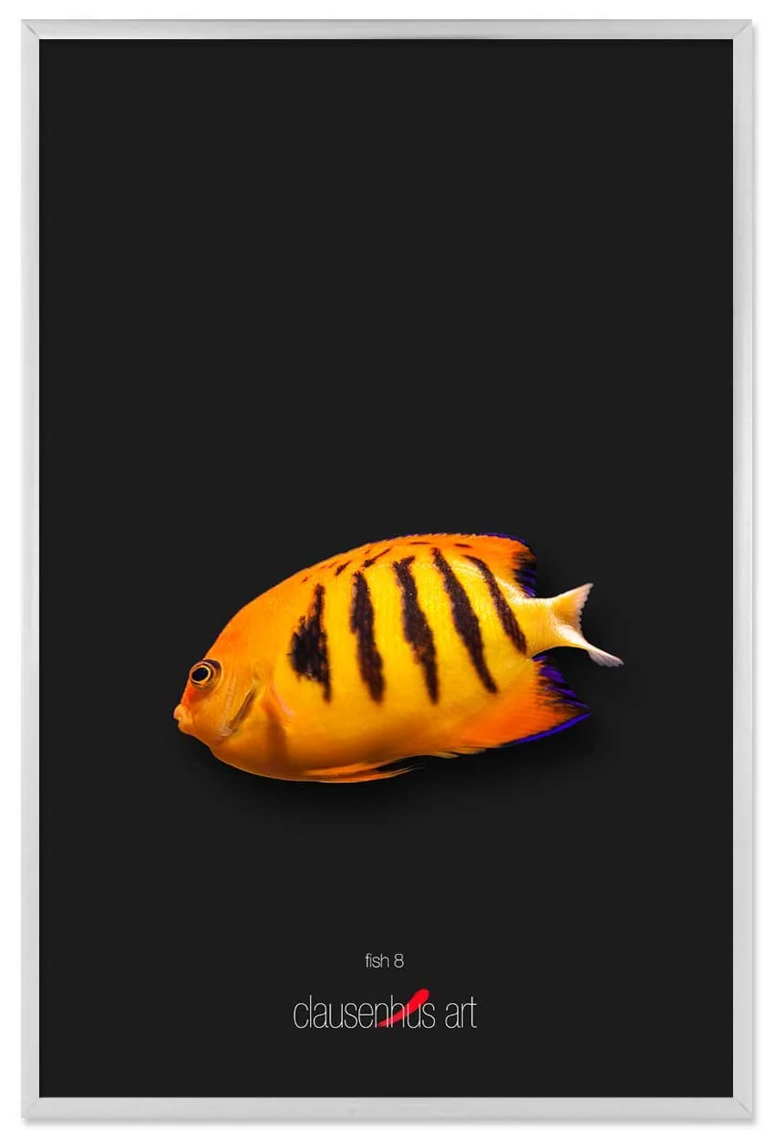 fish-8-copy.jpg