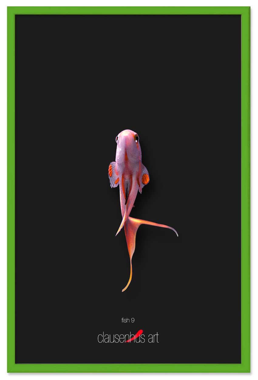 fish-9-copy.jpg